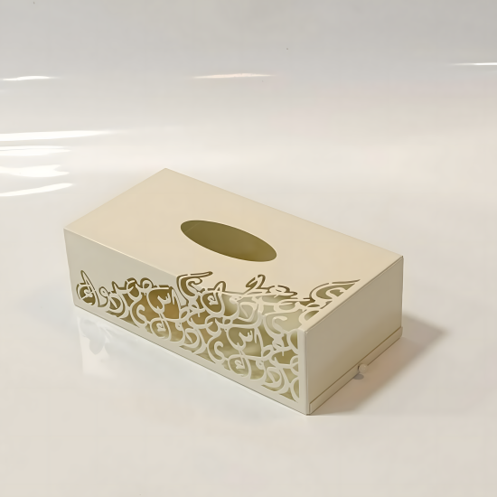 Metal Tissue Box